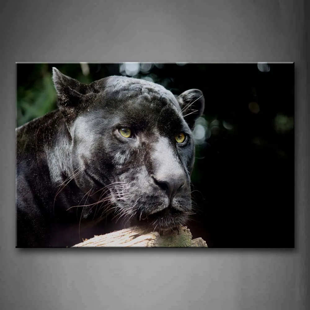 

1 Pic Framed Wall Art Pictures Panther Wood Canvas Print Animal Posters With Wooden Frames For Living Room Office Decor