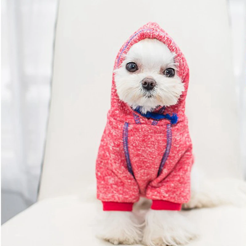 Colorful Pet Hoodie for Cats and Small Dogs, Pet Costumein Dog Hoodies