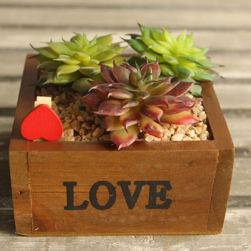 Land-Lotus-Rare-Succulent-Grass-Desert-Artificial-Plant-Landscape-Fake-Flower-Arrangement-Garden-Decor-Home-Office