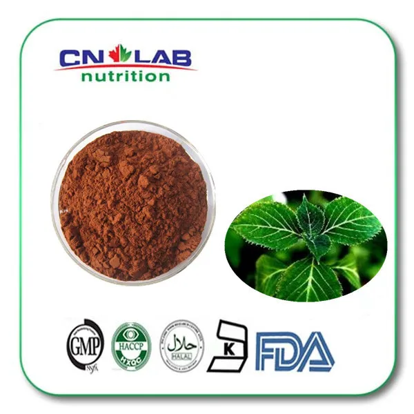 Kosher/Halal/ISO Low Price High Quality Epimedium Leaf Extract,epimedium extract ,Horny Goat Weed Extract Powder factory price spot supply of quality echinacea extract extract powder concentrated powder cheap high quality low price guarantee