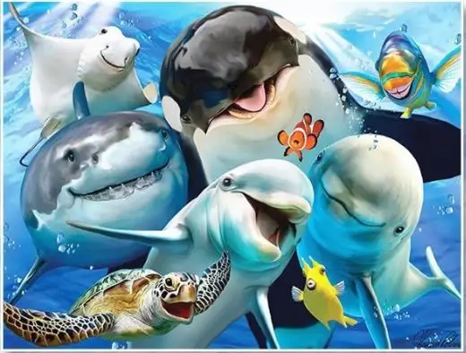 360截图20190517211858694