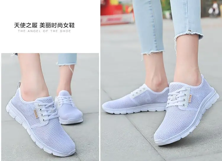 QQ图片20190416230525