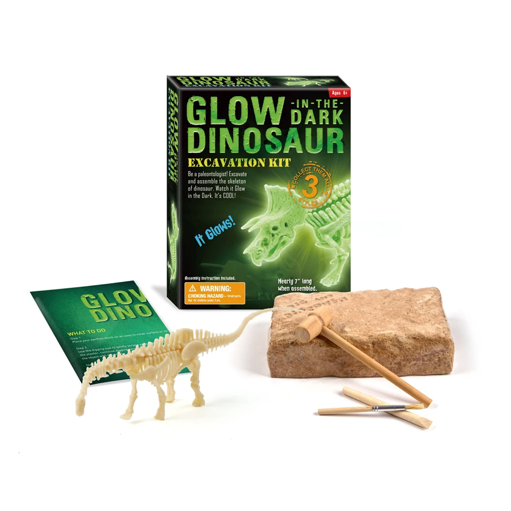 

Surwish Environmentally Friendly Materials Children Braining Educational Dinosaur Fossil Excavation Toy Kits for Learning Skills