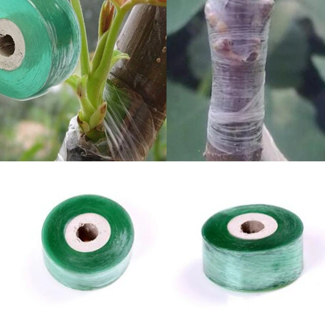 Cinta adhesiva de PVC para injertos, rollo de 2CM x 100M/1, herramientas de  jardín, cortador de árboles frutales, grabado de ramas y jardinería -  AliExpress