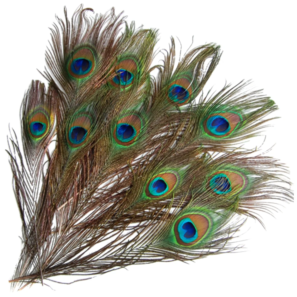 

10pcs PEACOCK TAIL NATURAL FEATHERS 9-13 'LONG FOR HAND CRAFTS MILLINERY