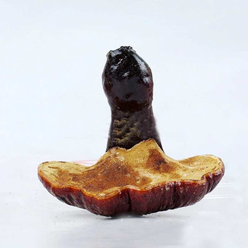 1000g Ganoderma Lucidum Dried Wild Red Lingzhi Reishi Mushrooms Chinese Natural Anti-cancer Health Care Medicine Herbal H2019-45 |