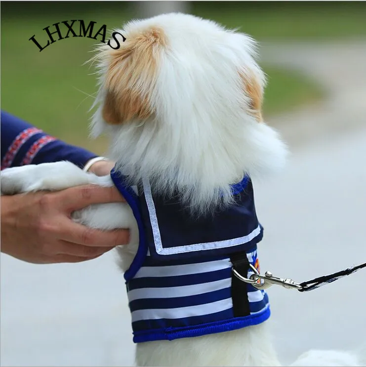 cute dog collar and leash sets