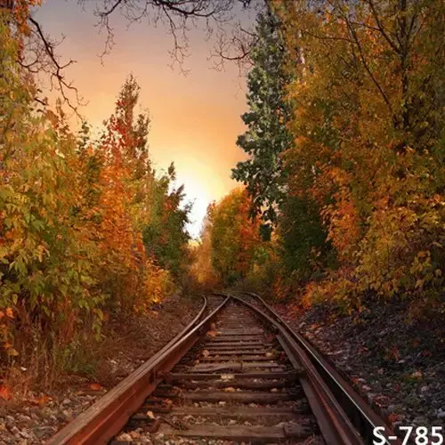 Осенняя Железная Дорога Фото
