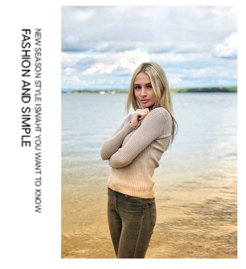 Warm Winter Women Sweater Turtleneck Pullover Knitted Sweaters For Ladies Long Sleeve High Elasticity Soft Pullovers Autumn 2018 (9)