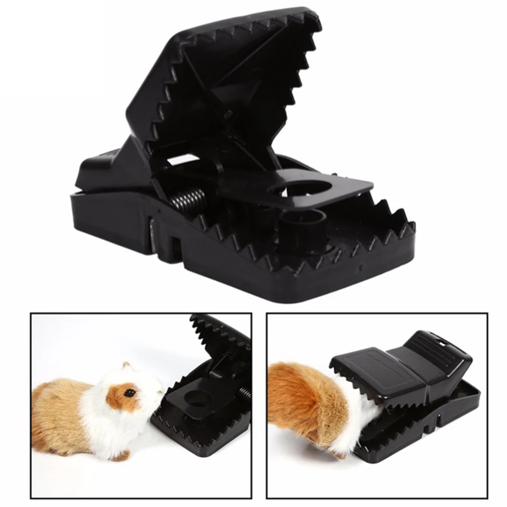 mouse house traps mouse house traps