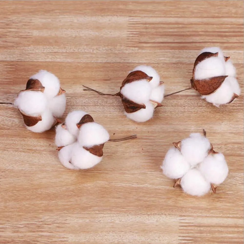 

5pcs Artificial kapok head natural dried flower cotton wedding home Christmas decoration supplies DIY wreath bouquet gift box