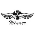 T-WINNER ALIBABA Store