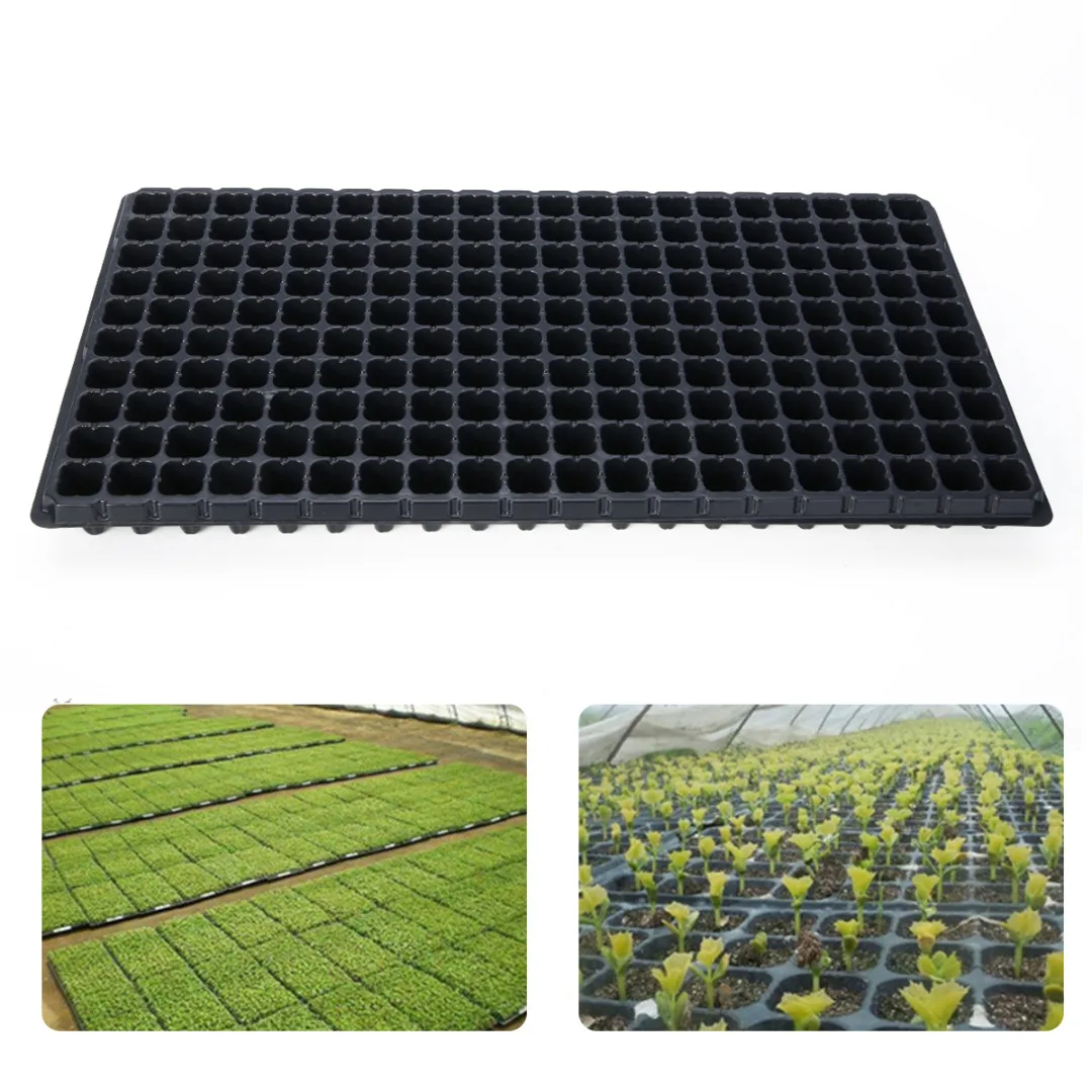 200 Cell Seedling Tray Starter Plastic Nursery Tray Extra Strength Seed Plant Bonsai Flower Pots Seed Grow Box Garden Supplies
