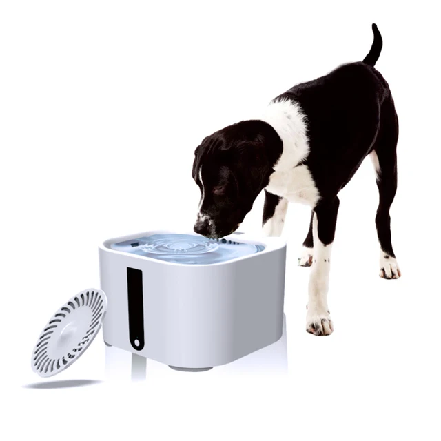 2L Dog Feeder Pet Automatic Water Feeder High Quality Cat Dog Water Fountain Dispenser Energy-efficient Electric Drinking Bowl