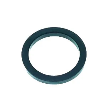 Gaggia Group Seal Filter Holder Gasket for Coffee Machine Part No 1186741 Parts for sale online 