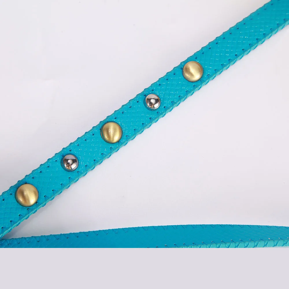 dog leash 5