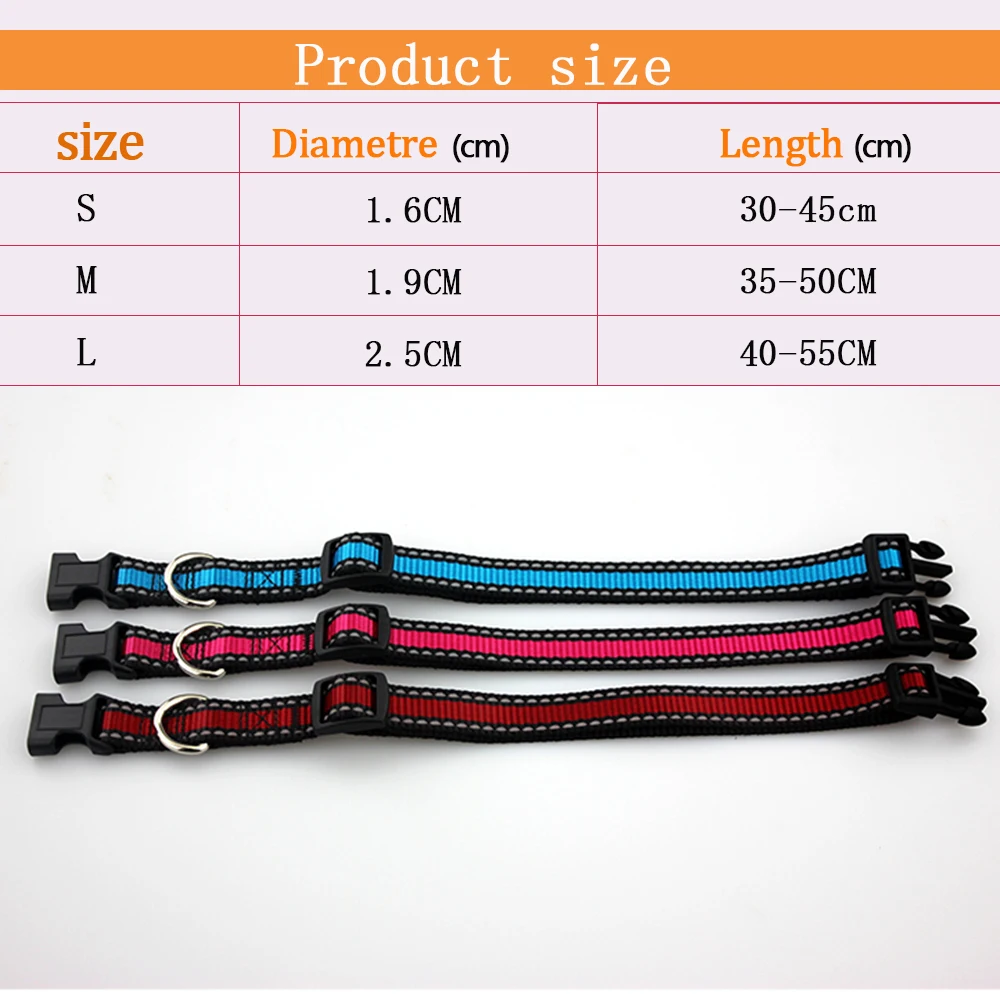 Dog Collar 2 0431