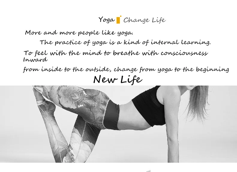 4491071440_137042813