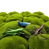 12pcs Frog insect snake lizard ant farm animal Fun model action figure christmas Gift For Kids educational children's garden toy ► Photo 2/6
