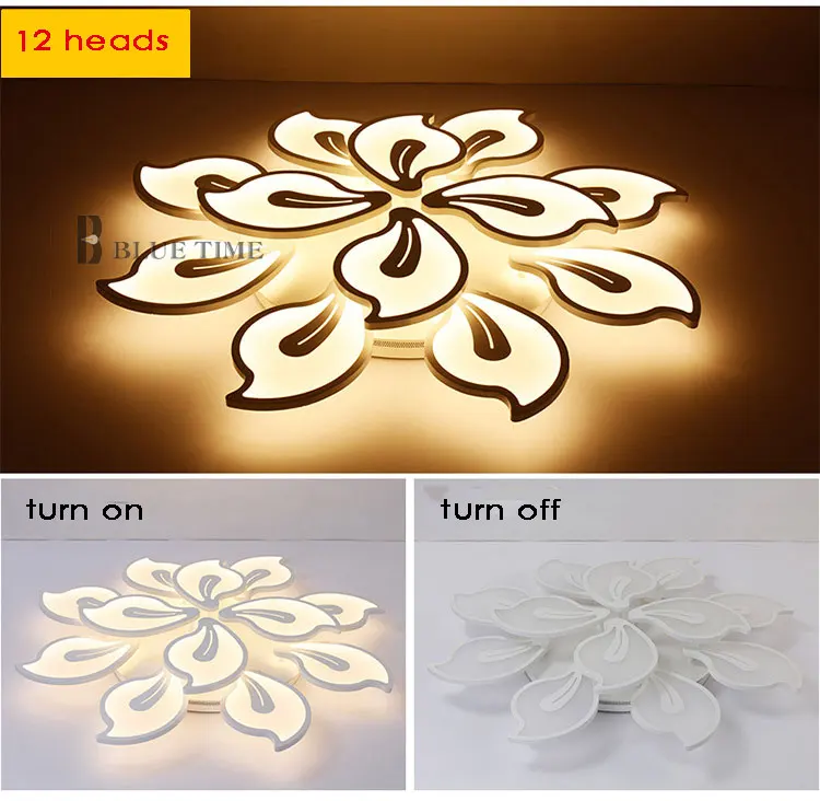 Ceiling-light5