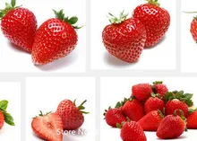 Garden Plant 1000 big strawberry seeds gift bonsai giant fruit seeds edible four seasons large type Bonsai Seed