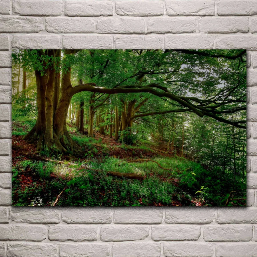 forest nature landscape green trees woods KD674 Living room home wall