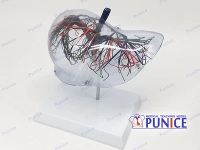 O1CN0125YS1ABRFgXyrKk_!!93977538.jpg_400x400.jpg_.webp
