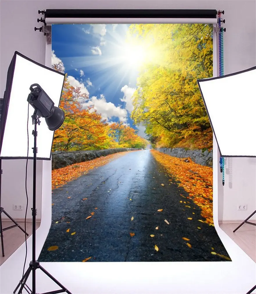 Фон для фотосъемки природа пейзаж Золотые листья солнце голубое небо белое