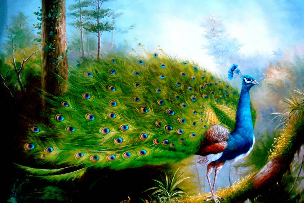 Wall Art Home Decor Print Abstract Feng Shui Peacock oil Painting Picture Canvas Wall Art Home Decor Print Abstract Feng Shui Peacock oil Painting Picture Canvas