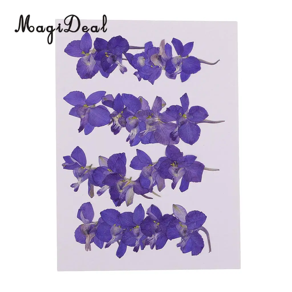 10 / 20Pcs Beautiful Real Pressed Rose Petal Babysbreath Flowers Dried Flowers for Art Craft Scrapbooking DIY Resin Jewelry