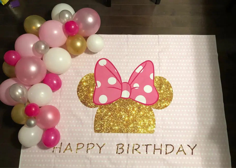 Mehofoto Birthday Photography Backdrop Pink Wave Point Minnie