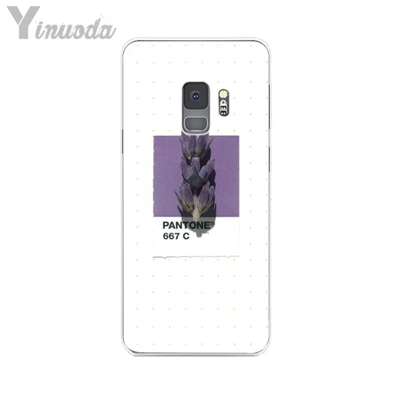 Pantone Candy Color Flower