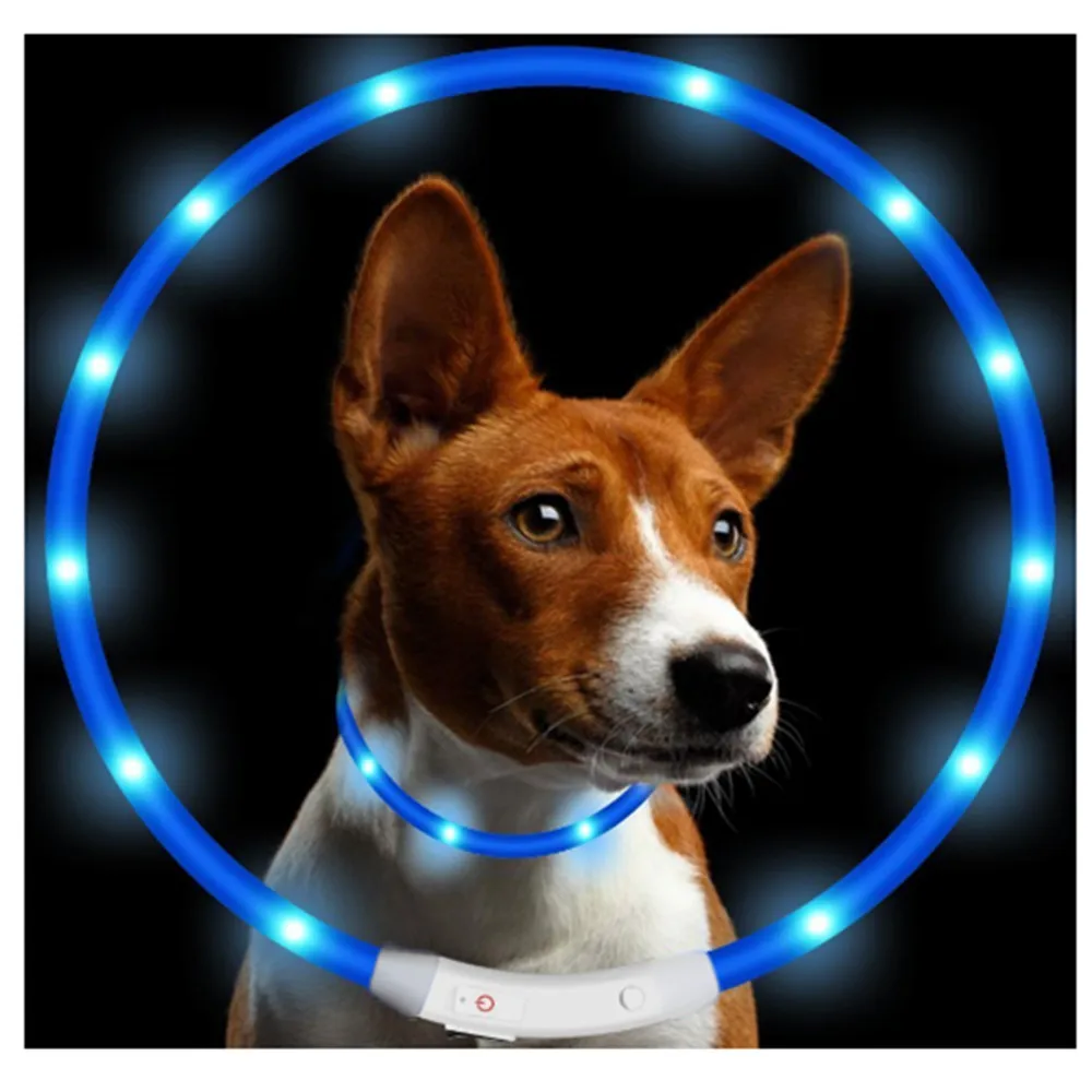 Genuine LED Dog Necklace Collar USB Rechargeable Pet Dog Collars Safety