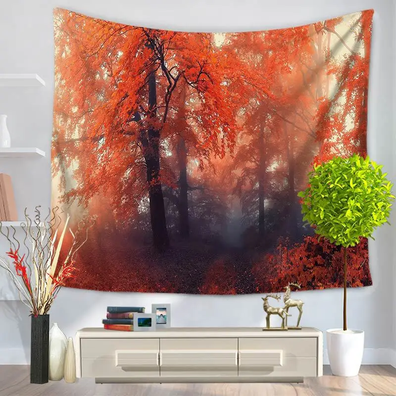  (1)