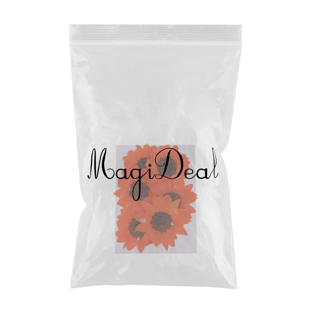 MagiDeal 6x прессованный натуральный натуральные высушенные цветы Подсолнух для DIY орнамент декоративный искусственные Закладка с цветами решений Craft проект