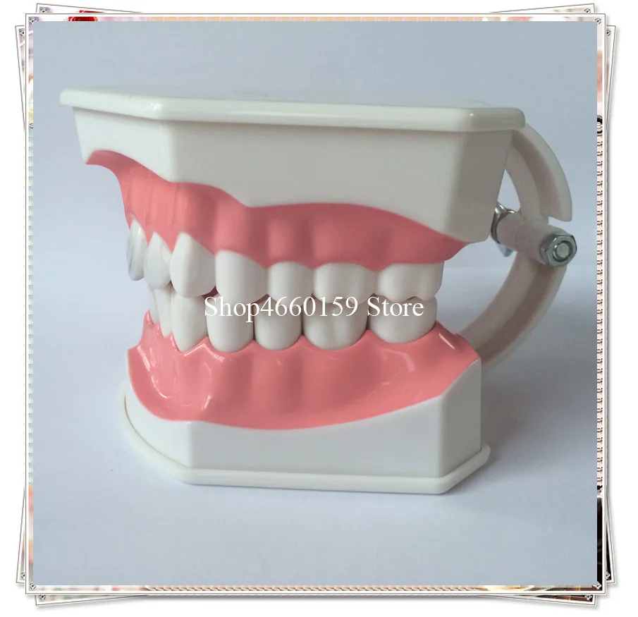 teeth brushing model-6
