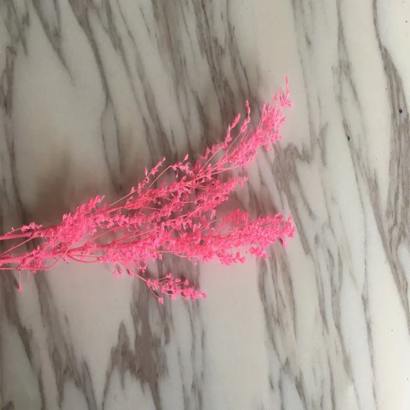 5 г/сухой цветок букет шпиндель груша свадебное оформление букета DIY декоративные цветочные лоскуты - Цвет: Pink
