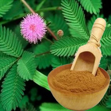 

Pure Nature Plant Extract Mimosa Hostilis Root Bark Powder 10:1