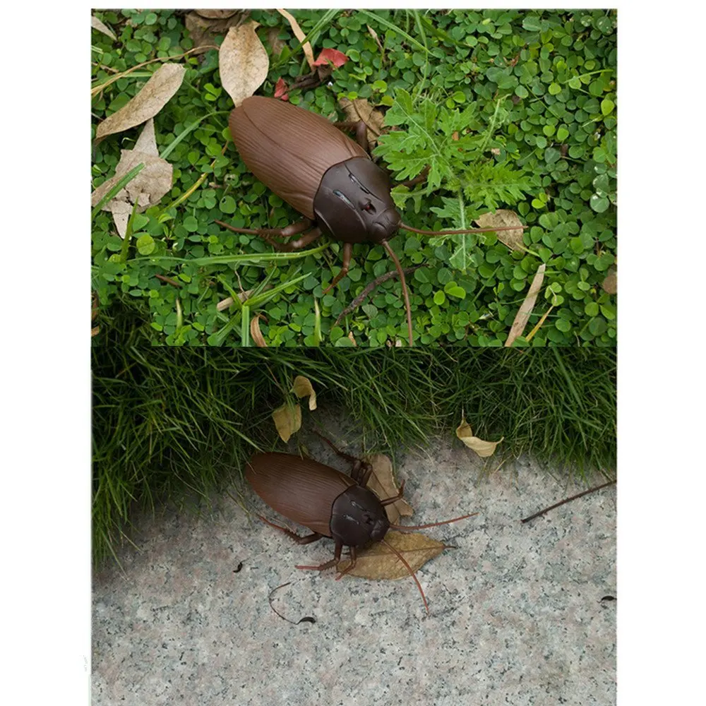 EBOYU RC Cockroach Remote Control Car Vehicle Animal Toys Electronic Realistic Fake Big Insect Bug Glowing Eyes Kids Gift 6