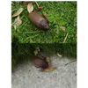 EBOYU RC Cockroach Remote Control Car Vehicle Animal Toys Electronic Realistic Fake Big Insect Bug Glowing Eyes Kids Gift 6