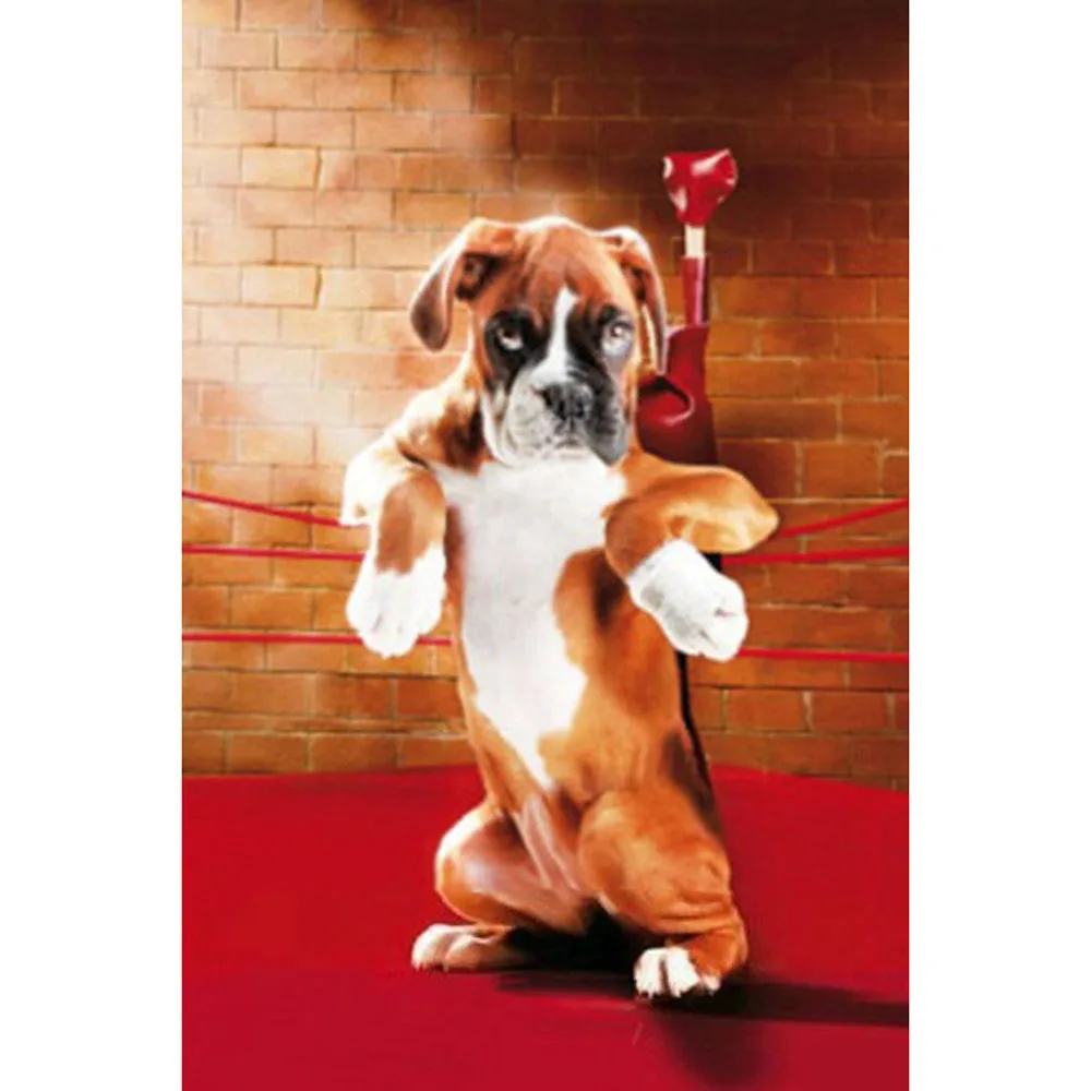 Full Diamond Embroidery "Boxing dog" 5D Diamond Painting Cross Stitch