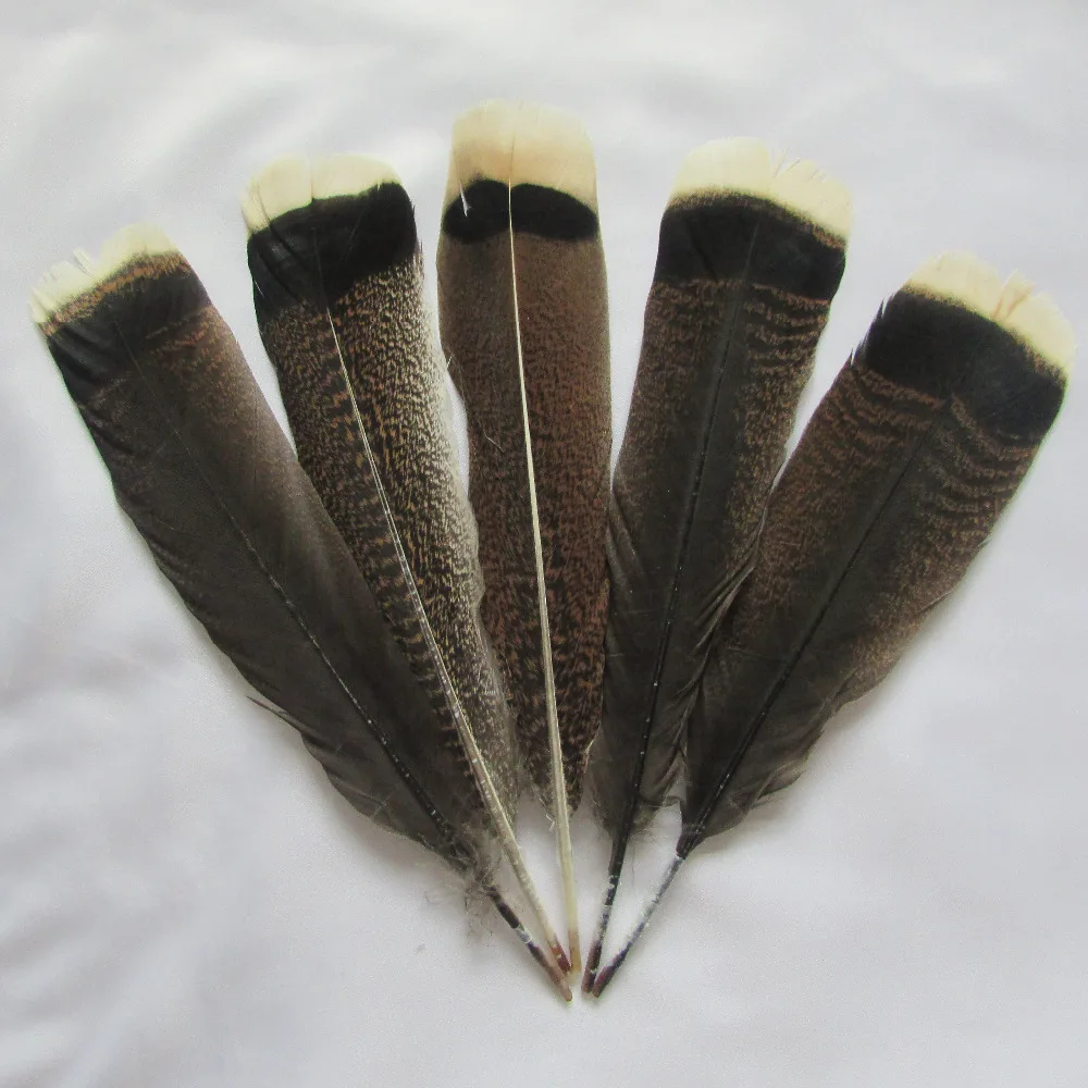 

hot sell 2 kind size select natural colour and lustre turkey feather DIY handwork ornament 200pcs wholesale sell