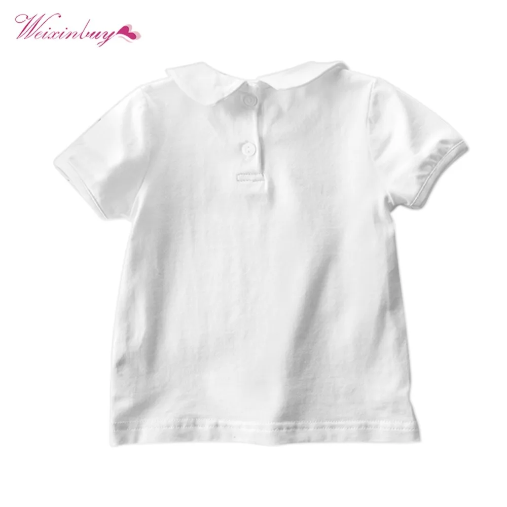 XL1743 (2)