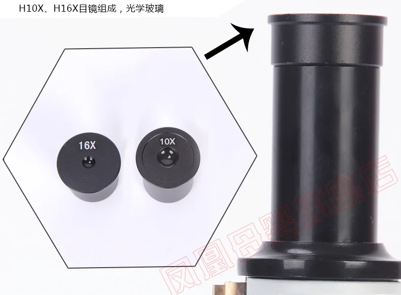 XSP-02 12