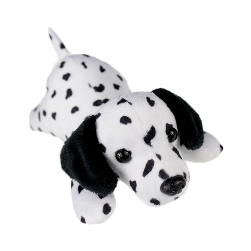 dalmatian dog_2