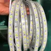 LED strip CCT Cool white & Warm white 120leds/m 220V 5730 Color temperature Dual IP68 Dimmable flexible tape light ► Photo 2/6