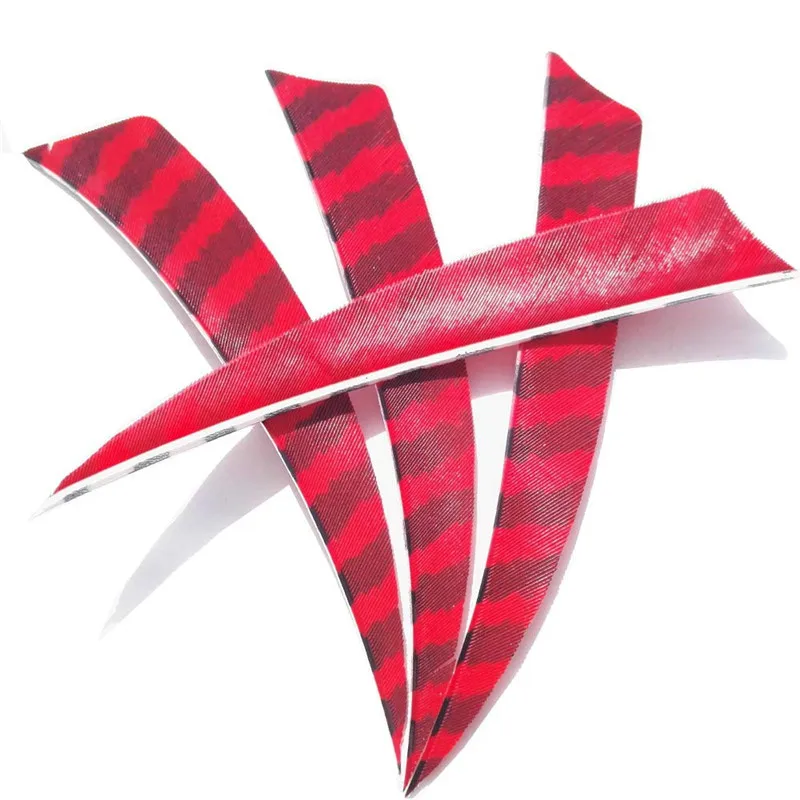 61Ixjmuy3gL._SL1000_