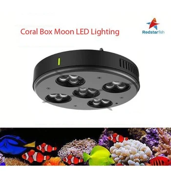 

Red Starfish D3 54W LED Full Spectrum Aquarium Light Coral Light Sunrise Sunrise Sea Water Light Coral Cylinder Lighting WIFI