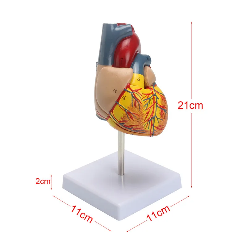 rB9kfVovhKSAaO5qAAEfuc2Qb2g868