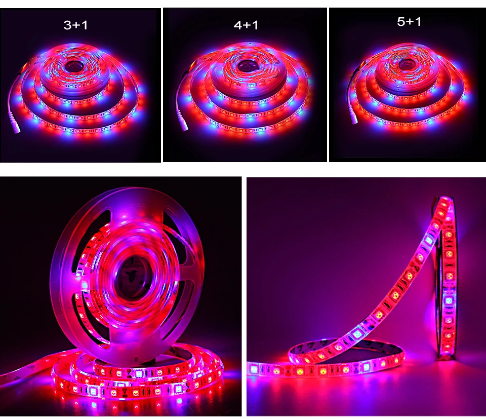 LED Phyto led grow lamp (9)